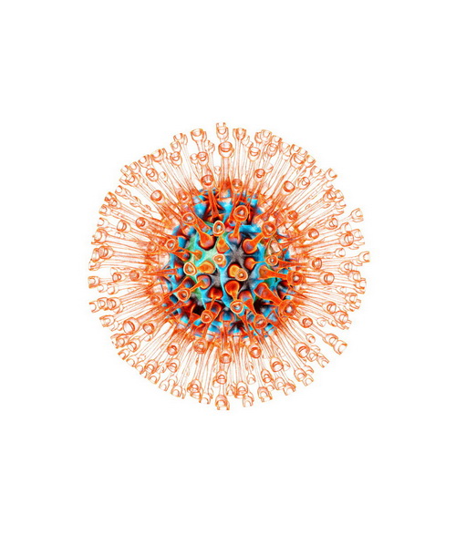 Il vaccino ricombinante per herpes zoster è più efficace di quello vivo attenuato